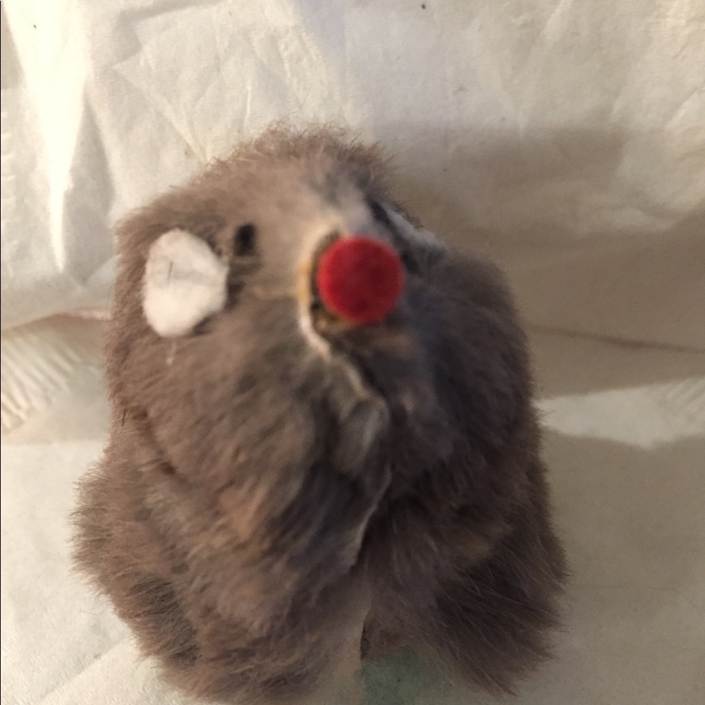 Meet your Posher, Steve